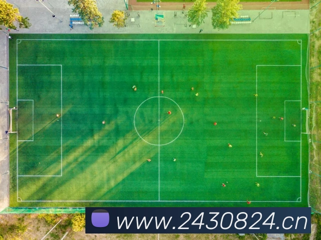 易倍emc中文官网APP 封面图